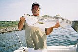 DENNIS-40inch CAUGHT 7-9-2006-72-6